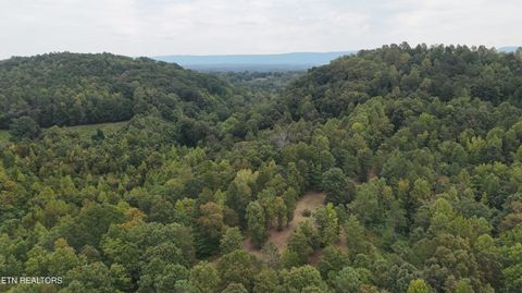 Tiny photo for 2324 County Road 758, Riceville, TN 37370 (MLS # 1307565)