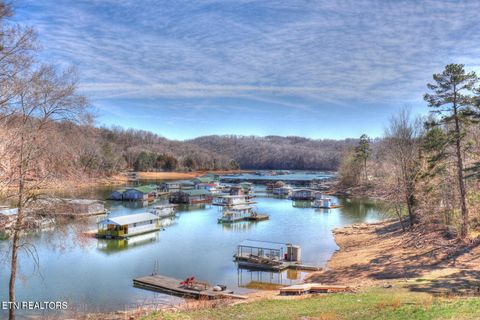 Tiny photo for 172173 Saddleridge Drive, Speedwell, TN 37870 (MLS # 1317640)