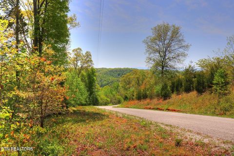 Photo of 172173 Saddleridge Drive, Speedwell, TN 37870 (MLS # 1317640)