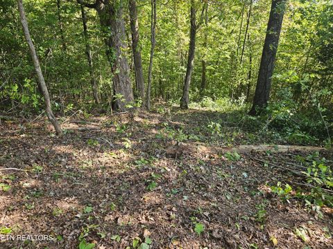 Tiny photo for 172173 Saddleridge Drive, Speedwell, TN 37870 (MLS # 1317640)