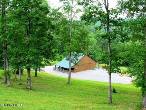 Tiny photo for 172173 Saddleridge Drive, Speedwell, TN 37870 (MLS # 1317640)