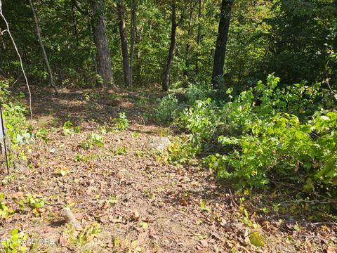 Tiny photo for 172173 Saddleridge Drive, Speedwell, TN 37870 (MLS # 1317640)