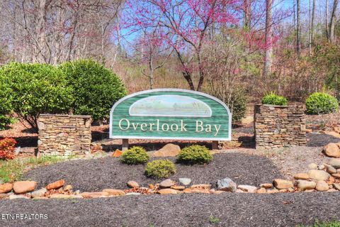 Tiny photo for 172173 Saddleridge Drive, Speedwell, TN 37870 (MLS # 1317640)