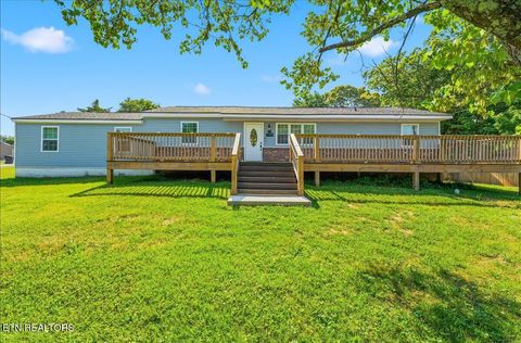 Photo of 508 Ozark Rd, Knoxville, TN 37912 (MLS # 1341747)