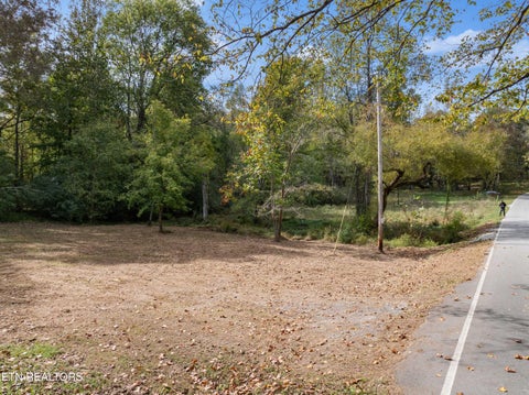 Tiny photo for 668 Pleasant Hill Rd, Ten Mile, TN 37880 (MLS # 1359787)