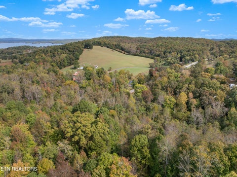 Tiny photo for 668 Pleasant Hill Rd, Ten Mile, TN 37880 (MLS # 1359787)