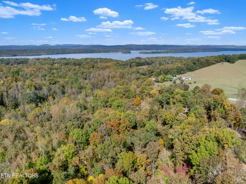 Tiny photo for 668 Pleasant Hill Rd, Ten Mile, TN 37880 (MLS # 1359787)