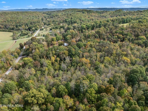 Tiny photo for 668 Pleasant Hill Rd, Ten Mile, TN 37880 (MLS # 1359787)