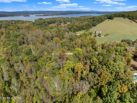 Tiny photo for 668 Pleasant Hill Rd, Ten Mile, TN 37880 (MLS # 1359787)