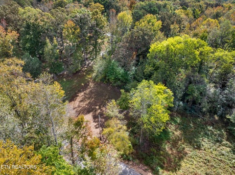 Tiny photo for 668 Pleasant Hill Rd, Ten Mile, TN 37880 (MLS # 1359787)