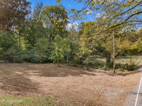 Tiny photo for 668 Pleasant Hill Rd, Ten Mile, TN 37880 (MLS # 1359787)