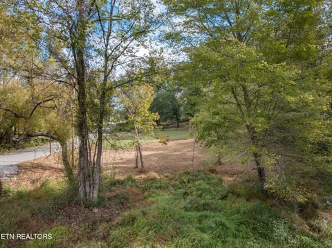 Tiny photo for 668 Pleasant Hill Rd, Ten Mile, TN 37880 (MLS # 1359787)