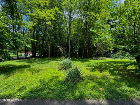Photo of 3217 Curtis Lane, Knoxville, TN 37918 (MLS # 1347387)