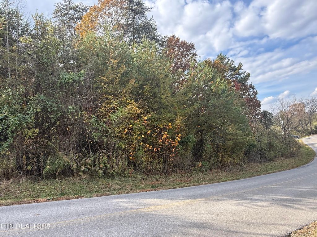 Photo of 919 Nina Delozier Rd, Maryville, TN 37804 (MLS # 1321378)