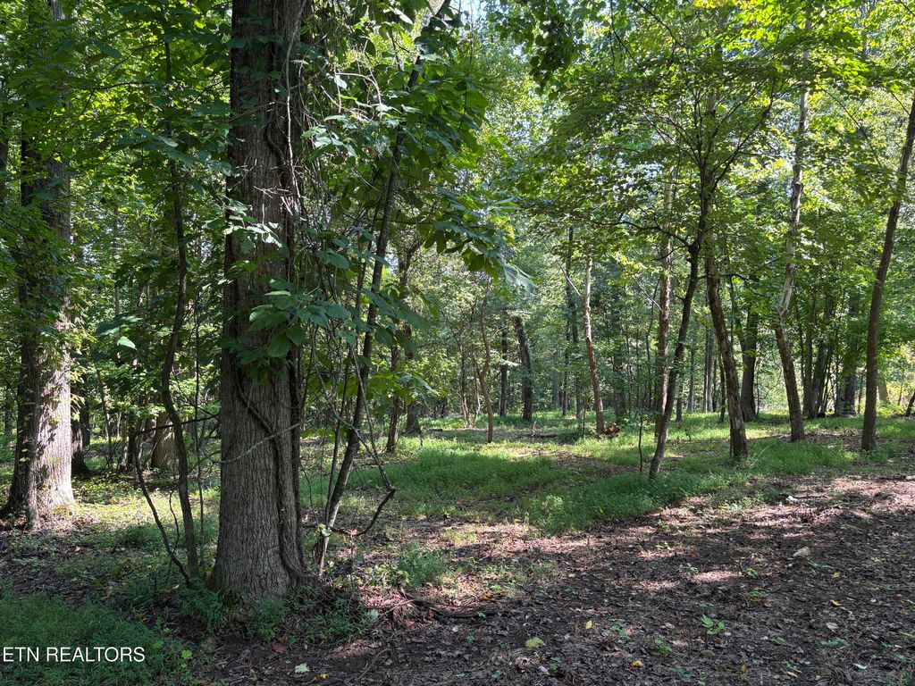 Photo of 371 Walking Horse Tr, Rockwood, TN 37854 (MLS # 1277071)