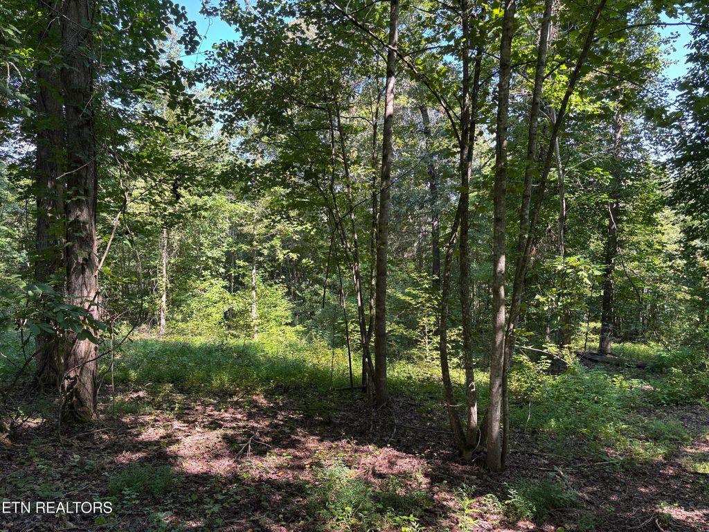 Photo of 371 Walking Horse Tr, Rockwood, TN 37854 (MLS # 1277071)