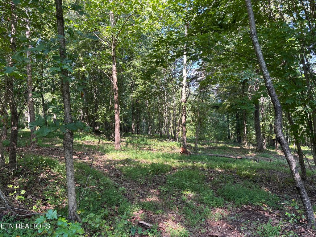 Photo of 371 Walking Horse Tr, Rockwood, TN 37854 (MLS # 1277071)