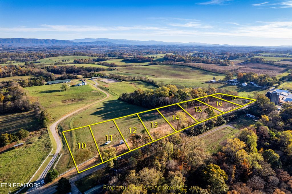 Photo of 411 Meadow Rd, Greenback, TN 37742 (MLS # 1284184)