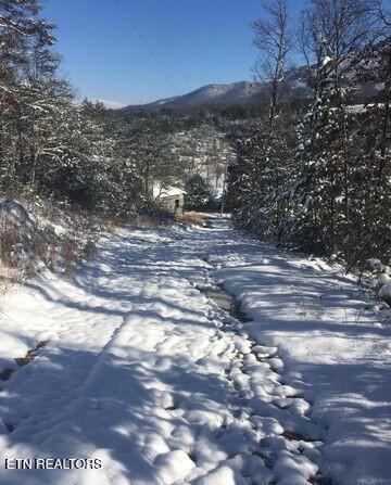 0 Little Meadow Creek Rd