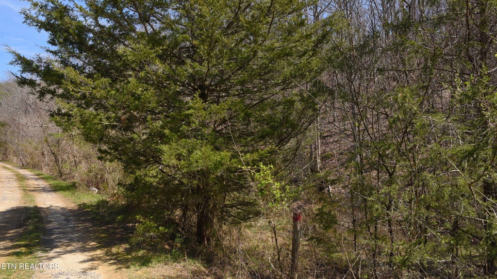 Photo of 912 Coolie King Rd, Kodak, TN 37764 (MLS # 1350882)