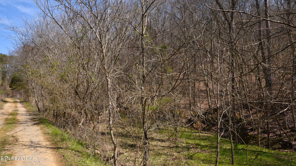 Photo of 912 Coolie King Rd, Kodak, TN 37764 (MLS # 1350882)