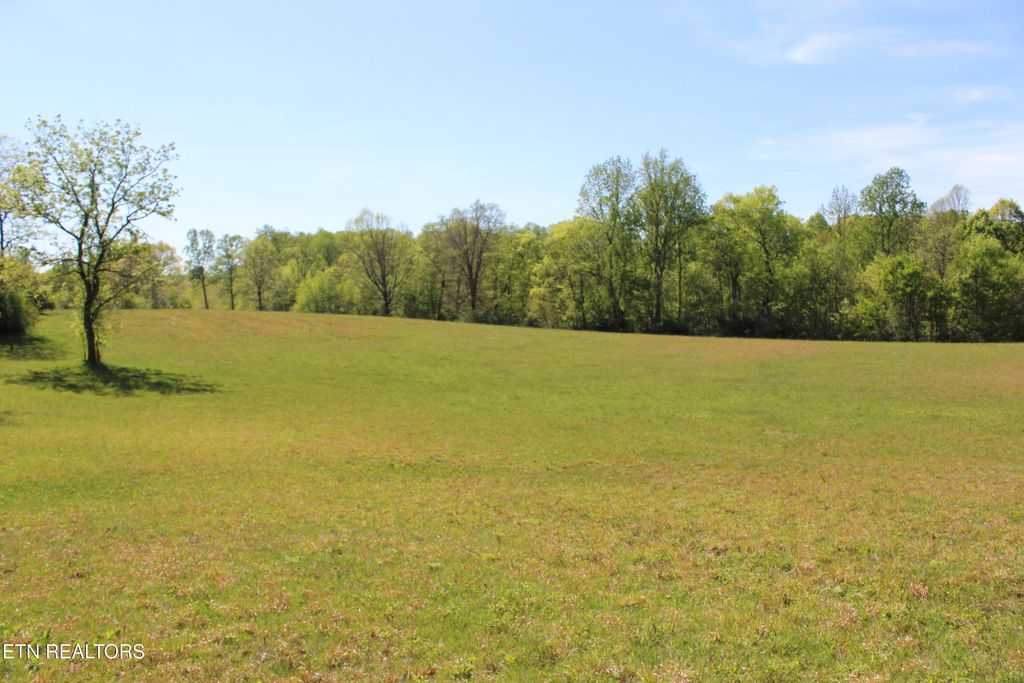 Photo of 3710 Wayne Bryant Rd, Louisville, TN 37777 (MLS # 1336931)