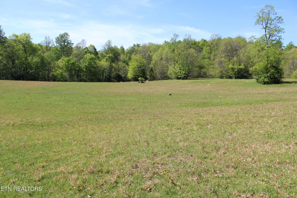 Photo of 3710 Wayne Bryant Rd, Louisville, TN 37777 (MLS # 1336931)