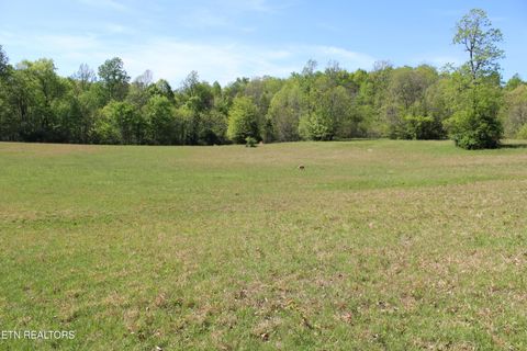 Photo of 3710 Wayne Bryant Rd, Louisville, TN 37777 (MLS # 1336931)