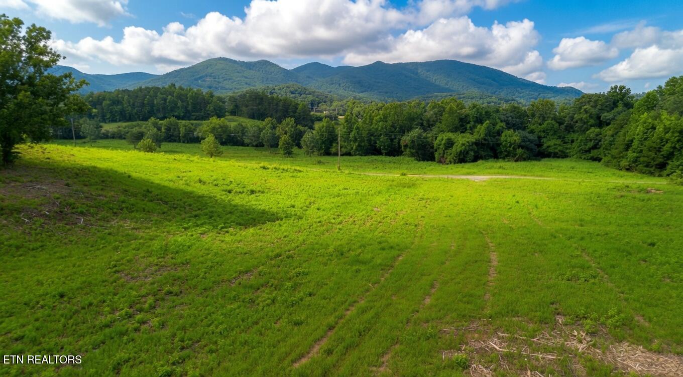 00 Rhyne Camp Rd