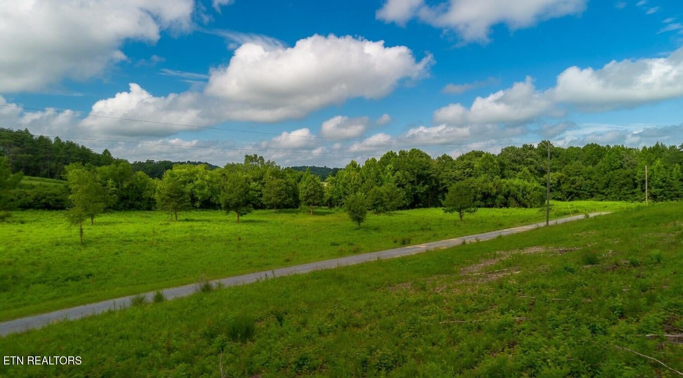 00 Rhyne Camp Rd