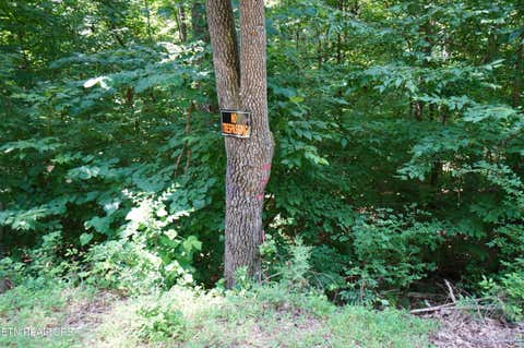 Tiny photo for 00 Rhyne Camp Rd, Newport, TN 37821 (MLS # 1346968)
