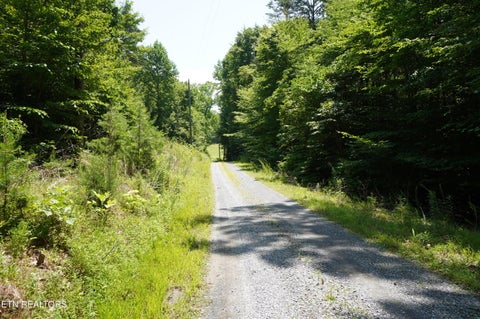 Tiny photo for 00 Rhyne Camp Rd, Newport, TN 37821 (MLS # 1346968)