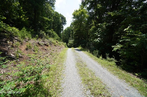 Tiny photo for 00 Rhyne Camp Rd, Newport, TN 37821 (MLS # 1346968)