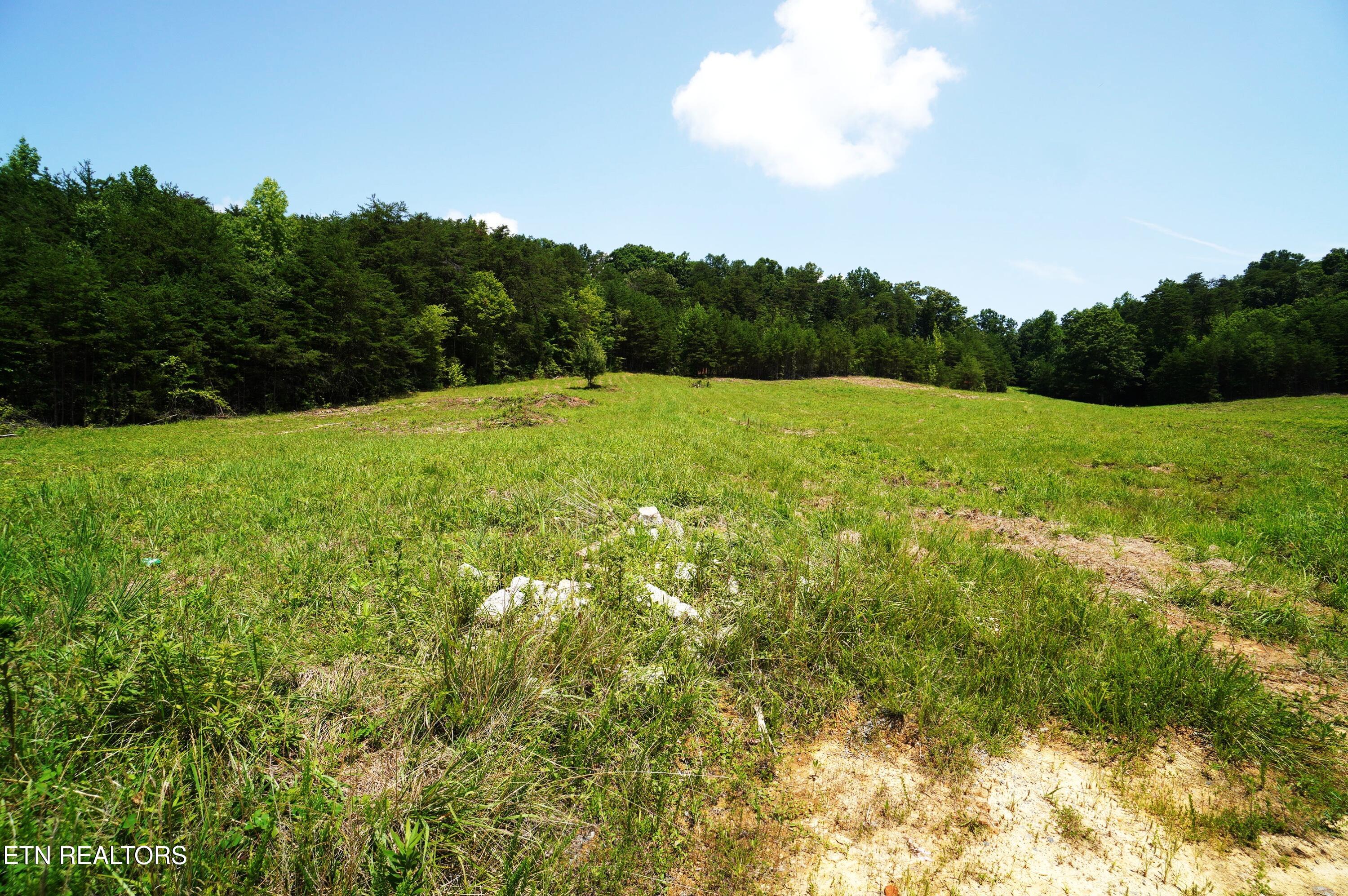 00 Rhyne Camp Rd
