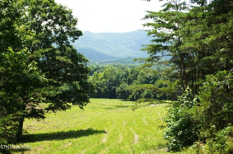 Photo of 00 Rhyne Camp Rd, Newport, TN 37821 (MLS # 1346968)