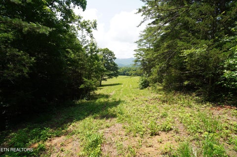Tiny photo for 00 Rhyne Camp Rd, Newport, TN 37821 (MLS # 1346968)