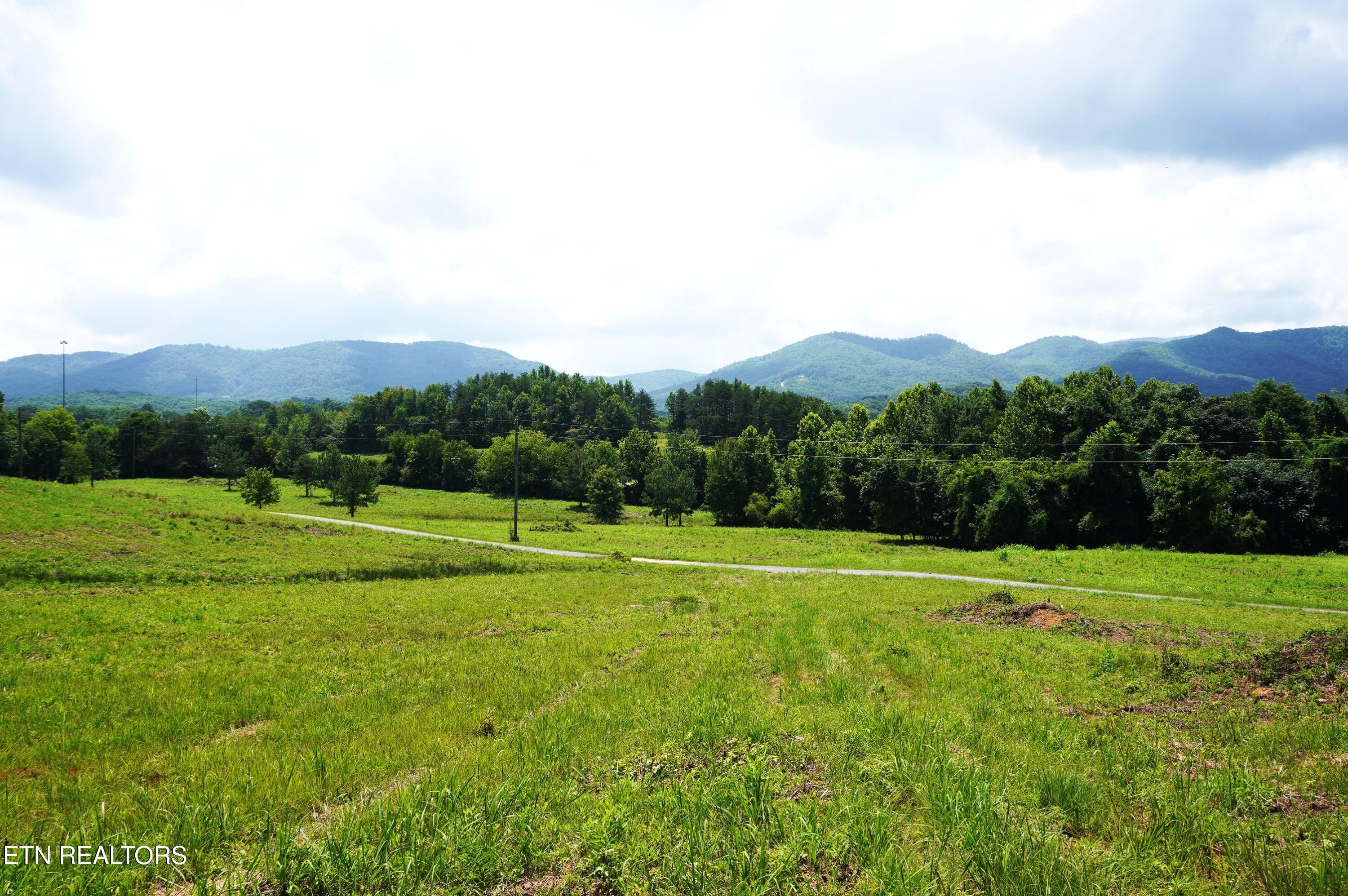 00 Rhyne Camp Rd