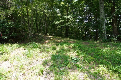 Tiny photo for 00 Rhyne Camp Rd, Newport, TN 37821 (MLS # 1346968)