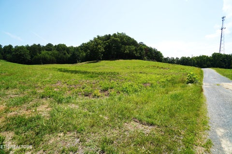 Tiny photo for 00 Rhyne Camp Rd, Newport, TN 37821 (MLS # 1346968)