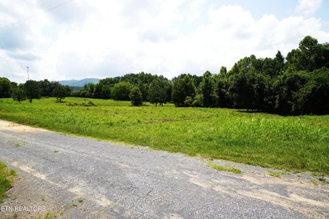 Tiny photo for 00 Rhyne Camp Rd, Newport, TN 37821 (MLS # 1346968)