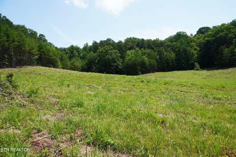 Tiny photo for 00 Rhyne Camp Rd, Newport, TN 37821 (MLS # 1346968)