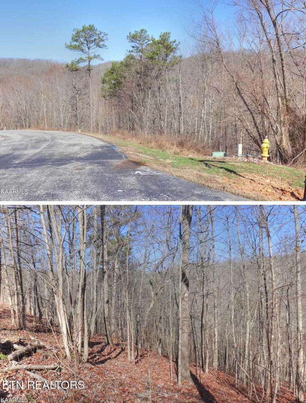 Photo of 12 EMERALD POINTE CIRCLE Circle, Rockwood, TN 37854 (MLS # 1337328)