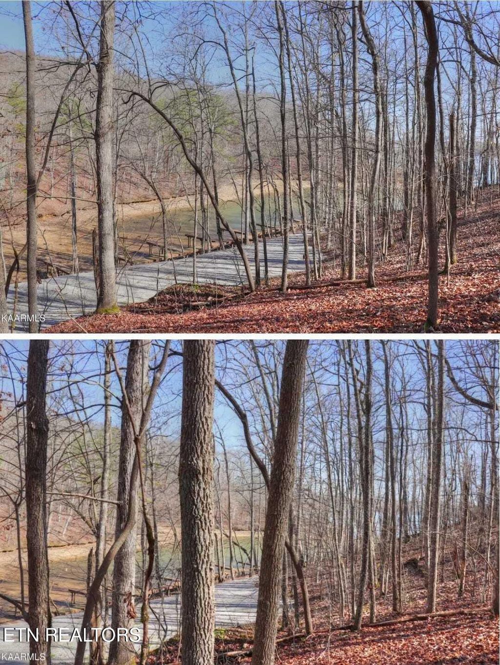 Photo of 12 EMERALD POINTE CIRCLE Circle, Rockwood, TN 37854 (MLS # 1337328)