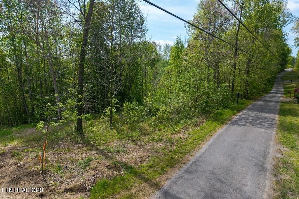 Photo of 75 Backbone Rd, Sparta, TN 38583 (MLS # 1336829)