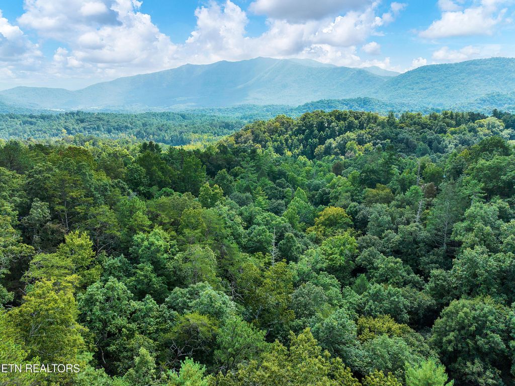 Photo of 211 Cutter Gap Rd, Townsend, TN 37882 (MLS # 1265624)