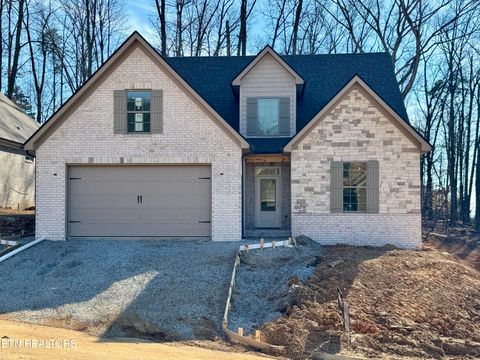 Photo of 9920 Rio Bravo Lane, Knoxville, TN 37922 (MLS # 1315860)
