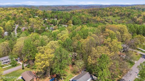 Tiny photo for 3308 Gumstand Drive, Powell, TN 37849 (MLS # 1336153)