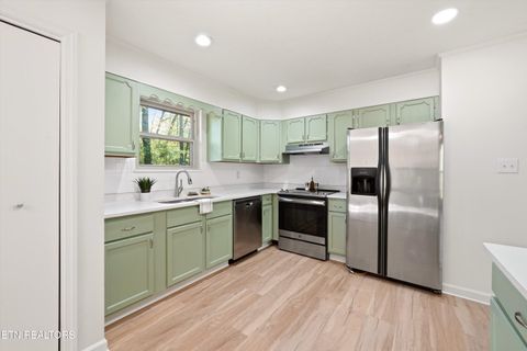 Tiny photo for 3308 Gumstand Drive, Powell, TN 37849 (MLS # 1336153)