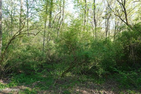 Tiny photo for 12 Golf Course Rd, Newport, TN 37821 (MLS # 1337091)
