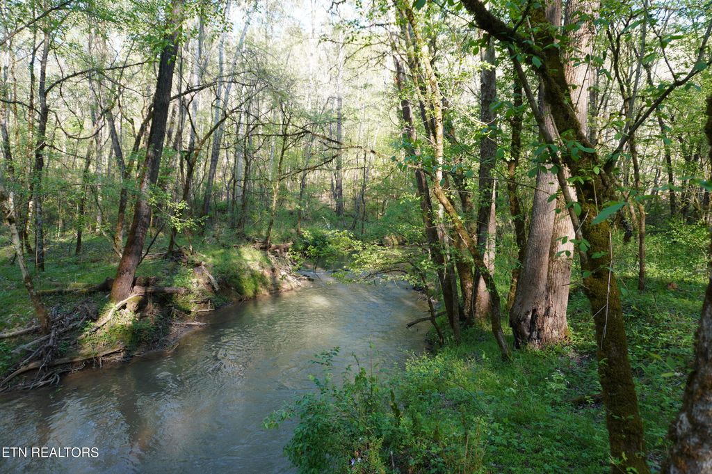 Photo of 12 Golf Course Rd, Newport, TN 37821 (MLS # 1337091)